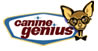 Canine genius